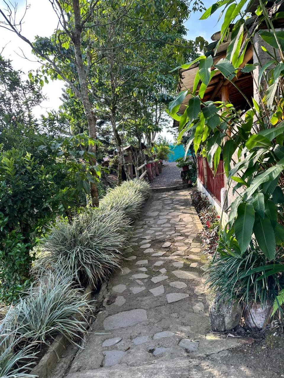 El Refugio Del Colibri Acomodação com café da manhã Santa Rosa de Cabal Exterior foto